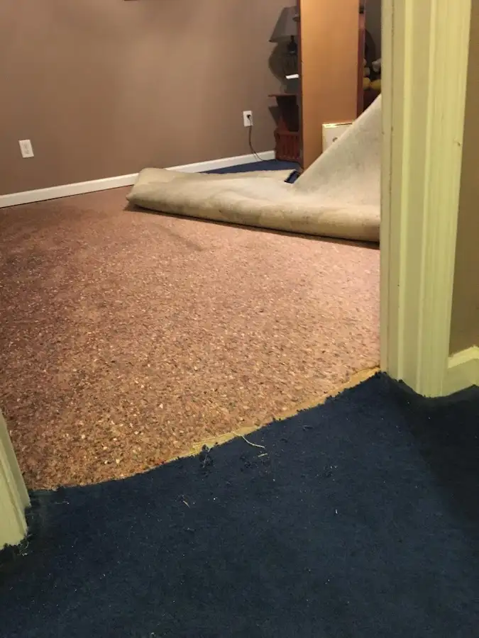 Carpet pad removal revealing water damage during Water Mitigation Services in Cartersville
